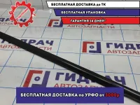 Молдинг стекла двери задней правой Hyundai Tucson (JM) . Внешний.
