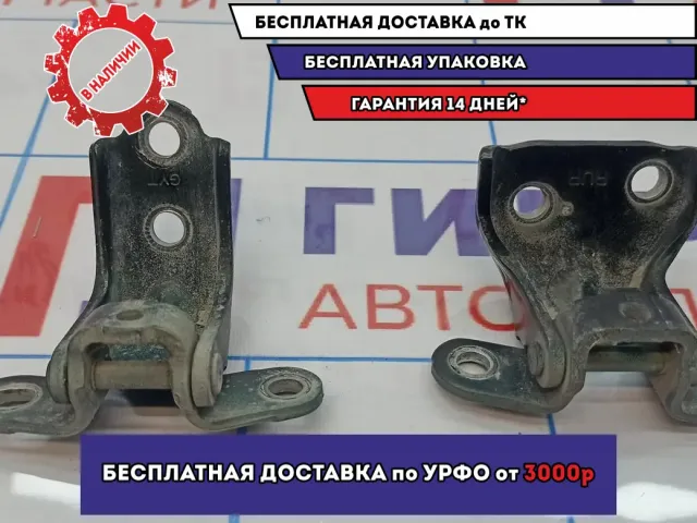 Петли двери задней правой Hyundai Tucson (JM) .
