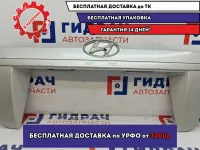 Накладка двери багажника Hyundai Tucson 87371-2E500.