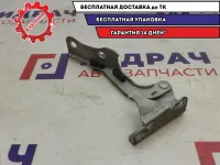 Петля капота правая Hyundai Tucson 79120-2E000.