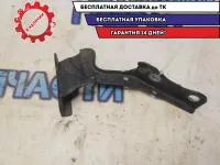 Петля капота левая Hyundai Tucson 2008 791102E000 Отличное состояние.