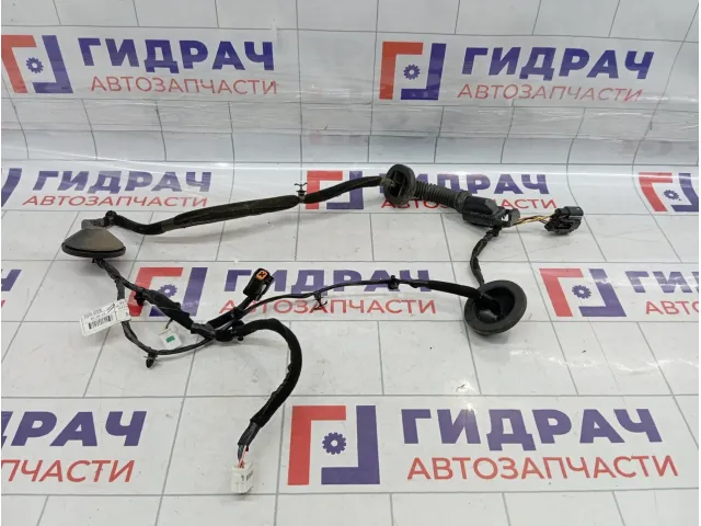 Проводка двери задней левой Hyundai Tucson (TL) 91650D7050