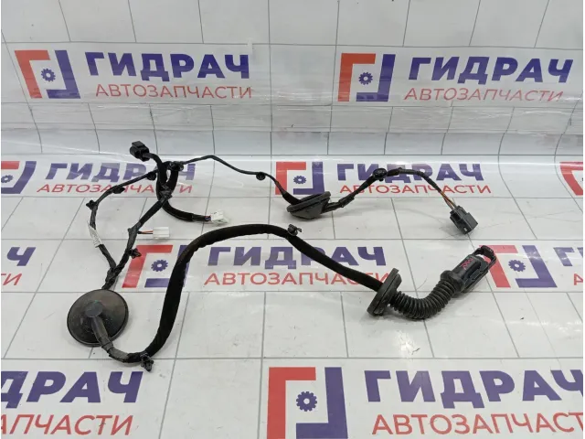 Проводка двери задней правой Hyundai Tucson (TL) 91660D7010