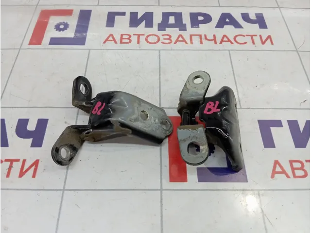 Петли двери задней левой Hyundai Tucson (TL)