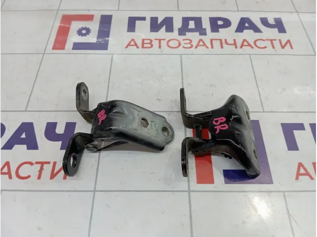 Петли двери задней правой Hyundai Tucson (TL)