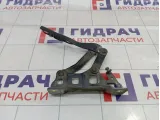 Петля капота правая Hyundai Tucson (TL) 79120D7100