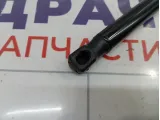 Амортизатор крышки (двери) багажника Hyundai Tucson (TL) 81770D7000