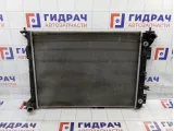 Радиатор основной Hyundai Tucson (TL) 25310D7650