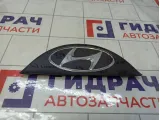 Эмблема на крышку багажника Hyundai Tucson (NX4) 873A0N9000