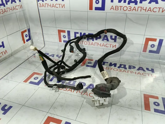 Проводка двери передней левой Hyundai Verna 916000N110