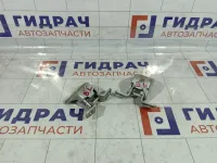 Петли двери задней левой Hyundai Verna