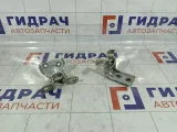 Петли двери задней левой Hyundai Verna