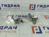 Петли двери задней левой Hyundai Verna