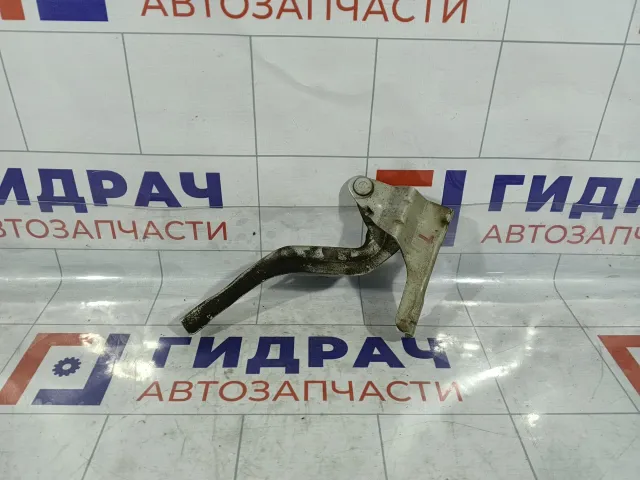 Петля капота левая Hyundai Verna 791101E000