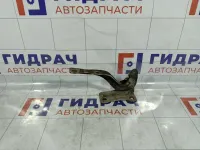 Петля капота правая Hyundai Verna 791201E000