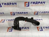 Патрубок воздушного фильтра Hyundai Verna 282101E000