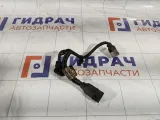 Проводка двигателя Hyundai Verna