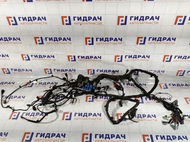 Проводка подкапотная Hyundai Verna 912030N160