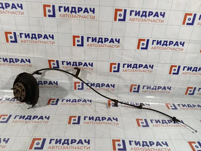 Цапфа задняя левая Hyundai Verna 583101G300