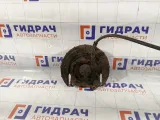 Цапфа задняя левая Hyundai Verna 583101G300