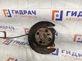 Цапфа задняя правая Hyundai Verna 584101G300