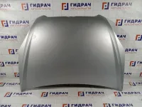 Капот Hyundai Verna 664000P010