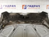 Капот Hyundai Verna 664000P010
