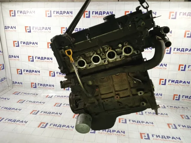 Двигатель Hyundai Verna 109C126P09