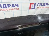 Дверь багажника Hyundai I30 (FD)