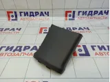 Накладка центральной консоли задняя Hyundai I30 (FD) 846802R100VAC
