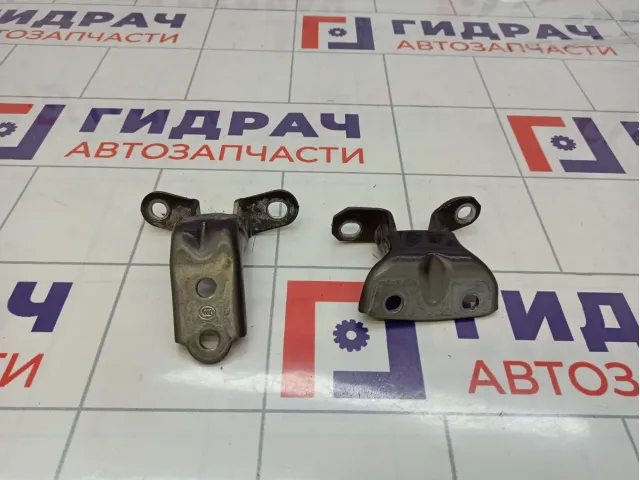 Петли двери задней левой Hyundai I30 (FD)