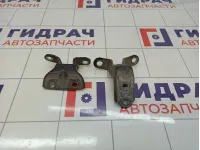 Петли двери задней правой Hyundai I30 (FD)