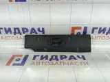 Накладка декоративная на клапанную крышку Hyundai i30 224052B000