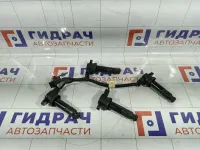 Рампа (кассета) катушек зажигания Hyundai i30 273002B010