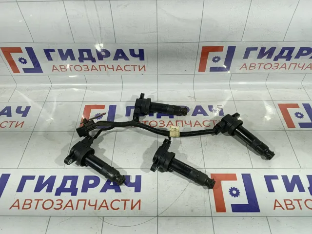 Рампа (кассета) катушек зажигания Hyundai i30 273002B010