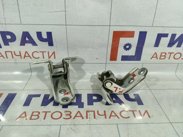 Петли двери передней левой Hyundai i30 793102E000