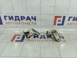 Петли двери передней правой Hyundai i30 793202E000