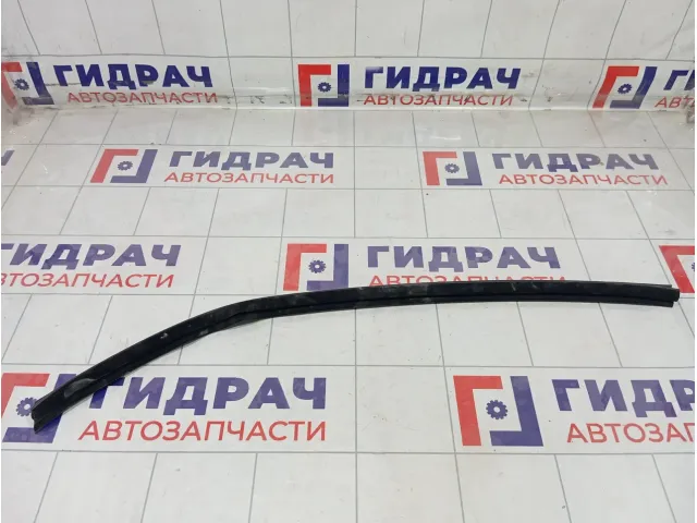 Уплотнитель стекла переднего левого Hyundai i30 822312L000