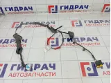 Проводка двери задней левой Hyundai i30 916502R010