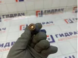 Форсунка инжекторная Hyundai i30 353102B000
