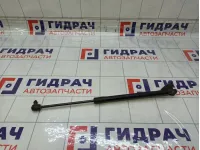 Амортизатор крышки (двери) багажника правый Hyundai ix35 817802Y000