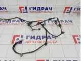 Проводка двери задней левой Hyundai ix35 916502Y040