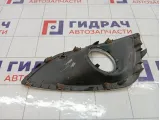 Рамка противотуманной фары левой Hyundai ix35 865852Y000
