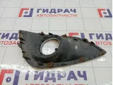 Рамка противотуманной фары правой Hyundai ix35 865862Y000