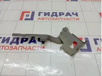 Петля капота левая Hyundai ix35 791102S000