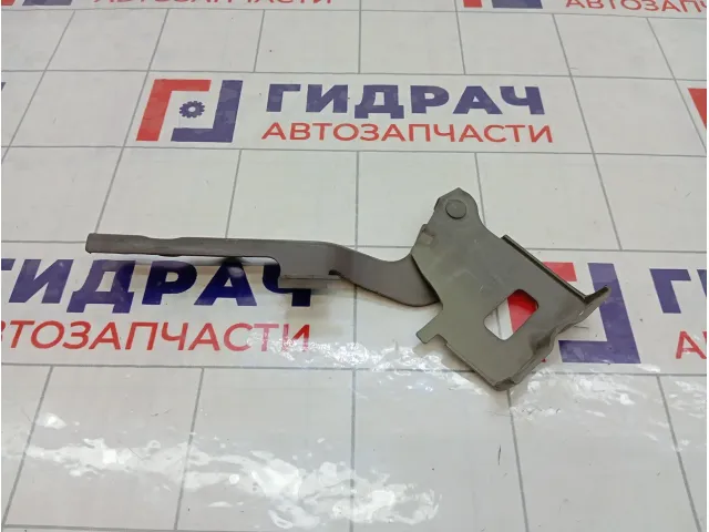 Петля капота левая Hyundai ix35 791102S000