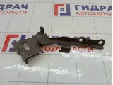 Петля капота левая Hyundai ix35 791102S000