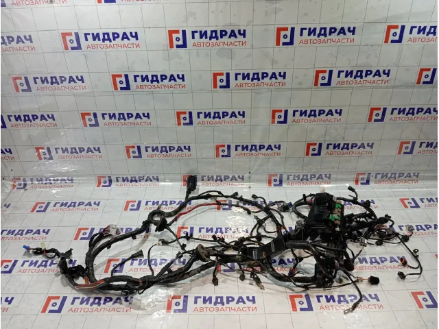 Проводка двигателя Hyundai ix35 914022Y724