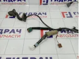 Проводка двери задней Infiniti G35 (V36) 24126-JK60B