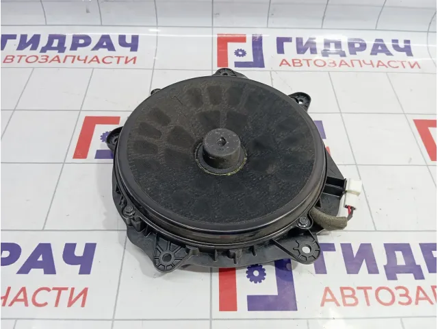 Динамик передний левый Infiniti G37 (V36) 28149-JK30A